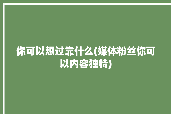 你可以想过靠什么(媒体粉丝你可以内容独特)