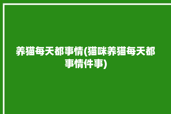 养猫每天都事情(猫咪养猫每天都事情件事)