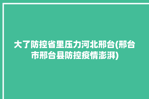 大了防控省里压力河北邢台(邢台市邢台县防控疫情澎湃)