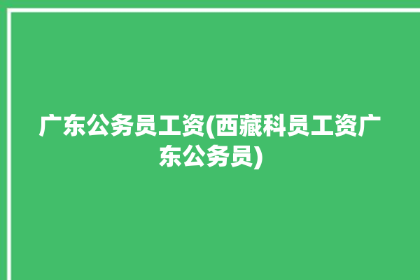 广东公务员工资(西藏科员工资广东公务员)