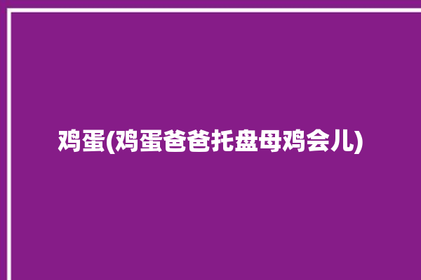 鸡蛋(鸡蛋爸爸托盘母鸡会儿)