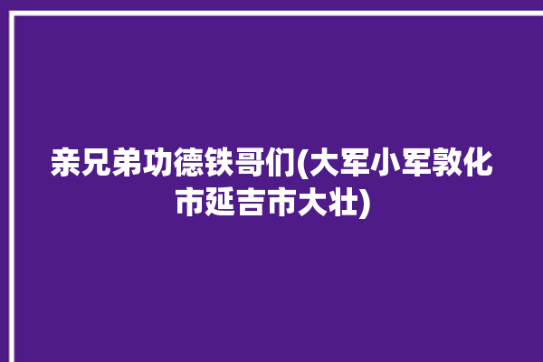 亲兄弟功德铁哥们(大军小军敦化市延吉市大壮)