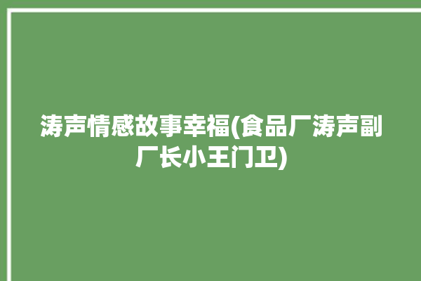 涛声情感故事幸福(食品厂涛声副厂长小王门卫)