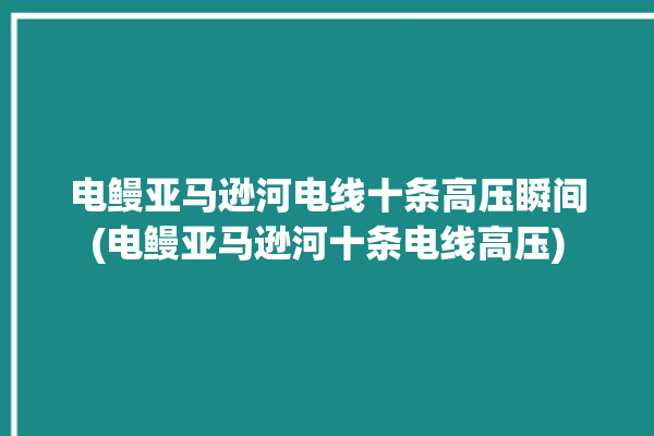 电鳗亚马逊河电线十条高压瞬间(电鳗亚马逊河十条电线高压)