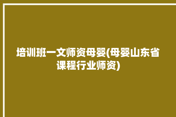 培训班一文师资母婴(母婴山东省课程行业师资)