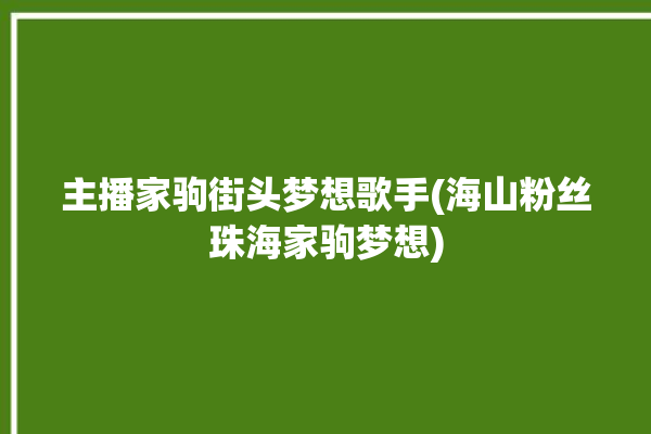 主播家驹街头梦想歌手(海山粉丝珠海家驹梦想)