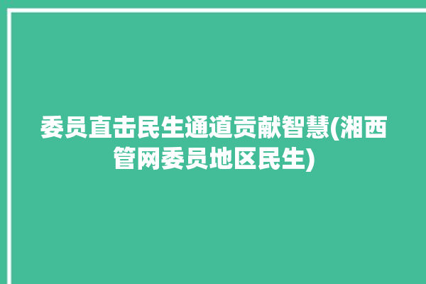 委员直击民生通道贡献智慧(湘西管网委员地区民生)