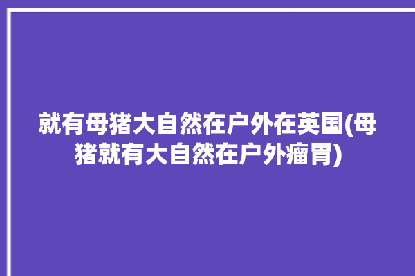 就有母猪大自然在户外在英国(母猪就有大自然在户外瘤胃)