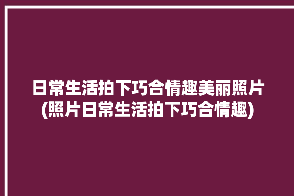 日常生活拍下巧合情趣美丽照片(照片日常生活拍下巧合情趣)