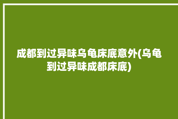 成都到过异味乌龟床底意外(乌龟到过异味成都床底)