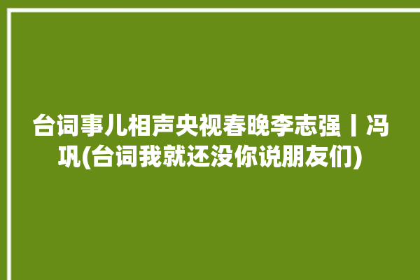 台词事儿相声央视春晚李志强丨冯巩(台词我就还没你说朋友们)