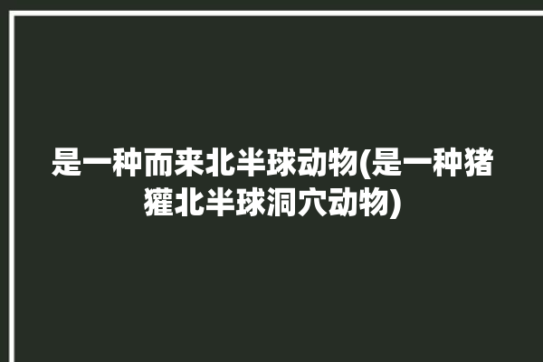 是一种而来北半球动物(是一种猪獾北半球洞穴动物)