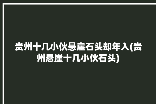 贵州十几小伙悬崖石头却年入(贵州悬崖十几小伙石头)