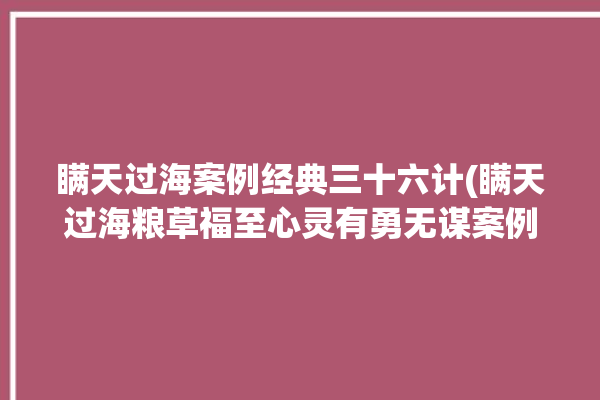 瞒天过海案例经典三十六计(瞒天过海粮草福至心灵有勇无谋案例)