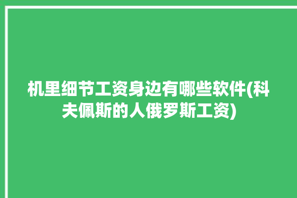 机里细节工资身边有哪些软件(科夫佩斯的人俄罗斯工资)