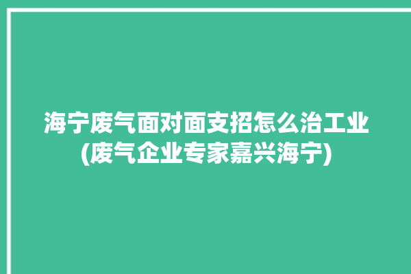 海宁废气面对面支招怎么治工业(废气企业专家嘉兴海宁)