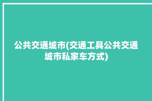 公共交通城市(交通工具公共交通城市私家车方式)