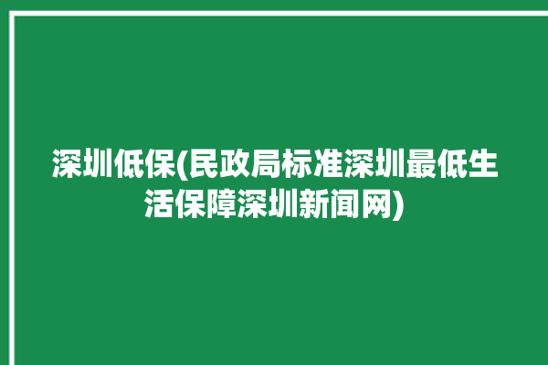 深圳低保(民政局标准深圳最低生活保障深圳新闻网)