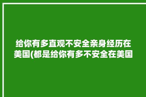 给你有多直观不安全亲身经历在美国(都是给你有多不安全在美国)