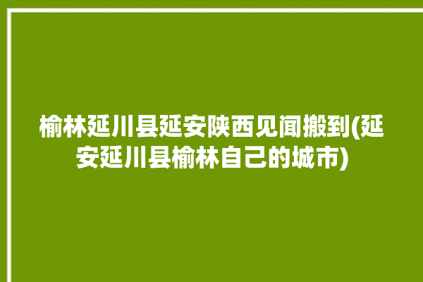 榆林延川县延安陕西见闻搬到(延安延川县榆林自己的城市)