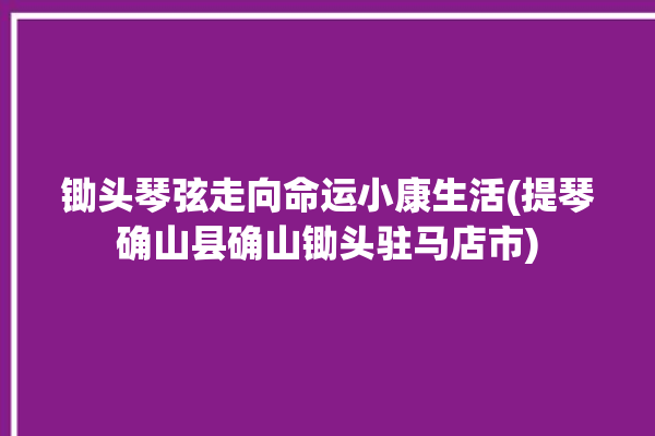 锄头琴弦走向命运小康生活(提琴确山县确山锄头驻马店市)