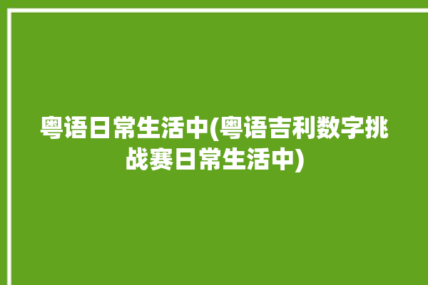 粤语日常生活中(粤语吉利数字挑战赛日常生活中)