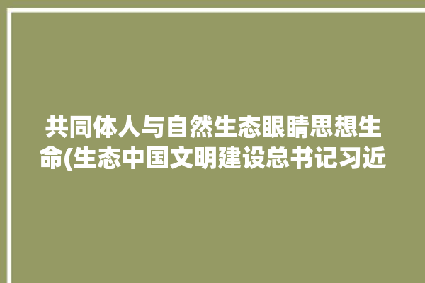 共同体人与自然生态眼睛思想生命(生态中国文明建设总书记习近平)