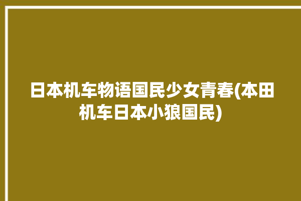 日本机车物语国民少女青春(本田机车日本小狼国民)