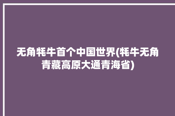 无角牦牛首个中国世界(牦牛无角青藏高原大通青海省)