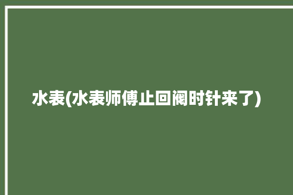 水表(水表师傅止回阀时针来了)