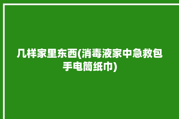 几样家里东西(消毒液家中急救包手电筒纸巾)