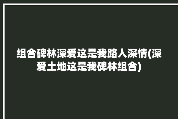 组合碑林深爱这是我路人深情(深爱土地这是我碑林组合)