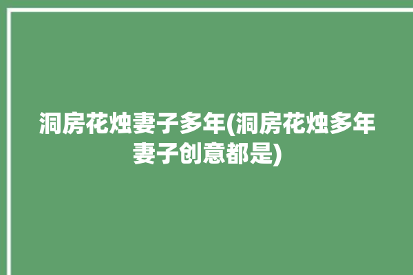 洞房花烛妻子多年(洞房花烛多年妻子创意都是)