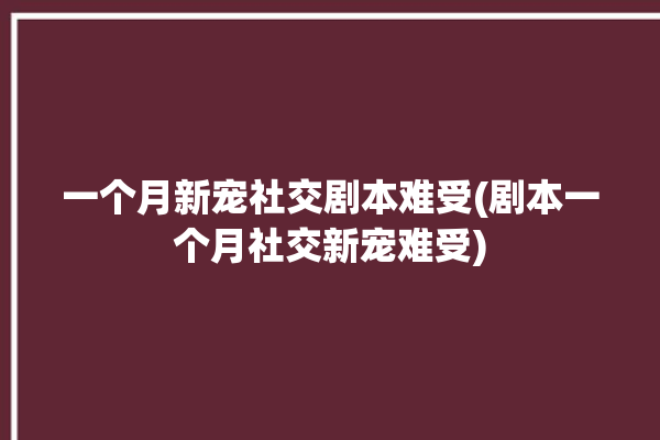 一个月新宠社交剧本难受(剧本一个月社交新宠难受)