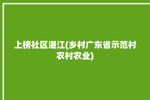 上榜社区湛江(乡村广东省示范村农村农业)