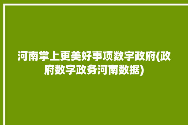 河南掌上更美好事项数字政府(政府数字政务河南数据)