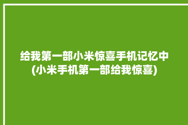 给我第一部小米惊喜手机记忆中(小米手机第一部给我惊喜)