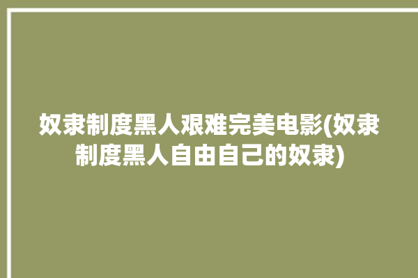 奴隶制度黑人艰难完美电影(奴隶制度黑人自由自己的奴隶)