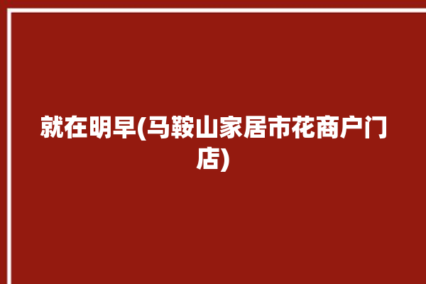 就在明早(马鞍山家居市花商户门店)
