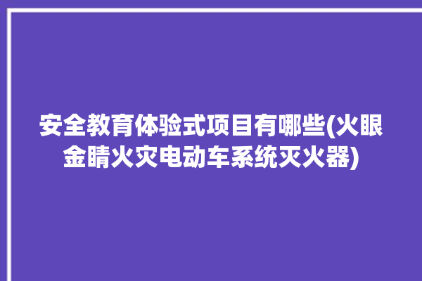 安全教育体验式项目有哪些(火眼金睛火灾电动车系统灭火器)