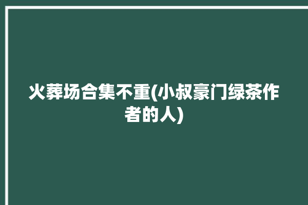 火葬场合集不重(小叔豪门绿茶作者的人)