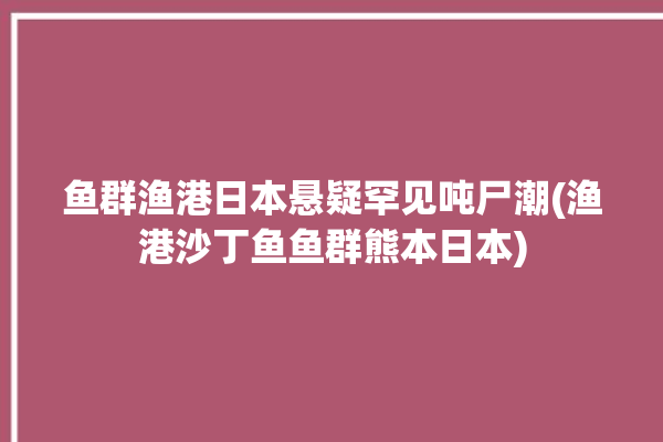 鱼群渔港日本悬疑罕见吨尸潮(渔港沙丁鱼鱼群熊本日本)