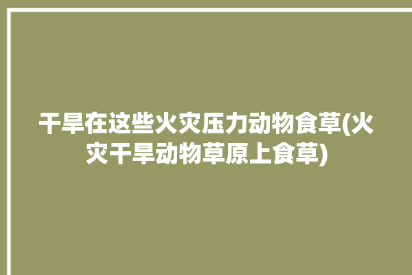 干旱在这些火灾压力动物食草(火灾干旱动物草原上食草)