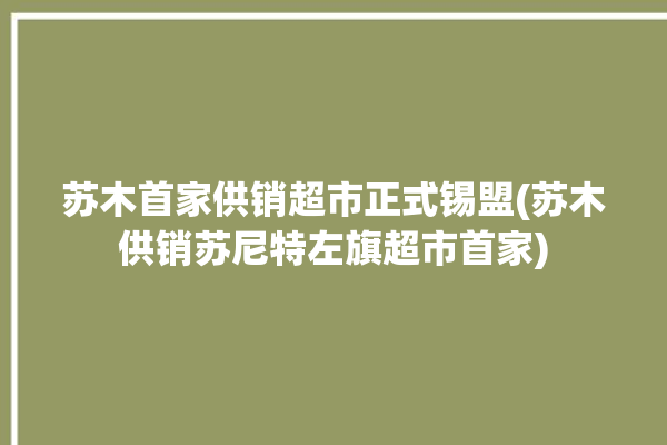 苏木首家供销超市正式锡盟(苏木供销苏尼特左旗超市首家)