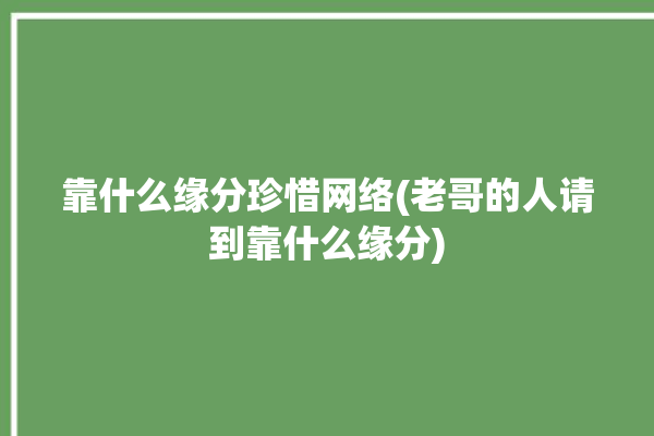 靠什么缘分珍惜网络(老哥的人请到靠什么缘分)