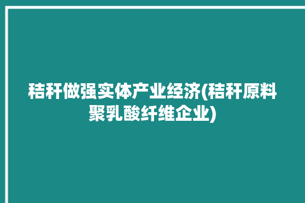 秸秆做强实体产业经济(秸秆原料聚乳酸纤维企业)