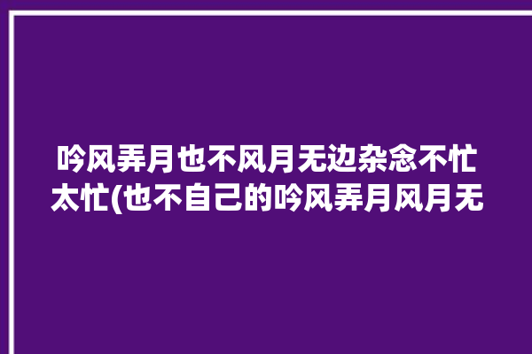 吟风弄月也不风月无边杂念不忙太忙(也不自己的吟风弄月风月无边太忙)