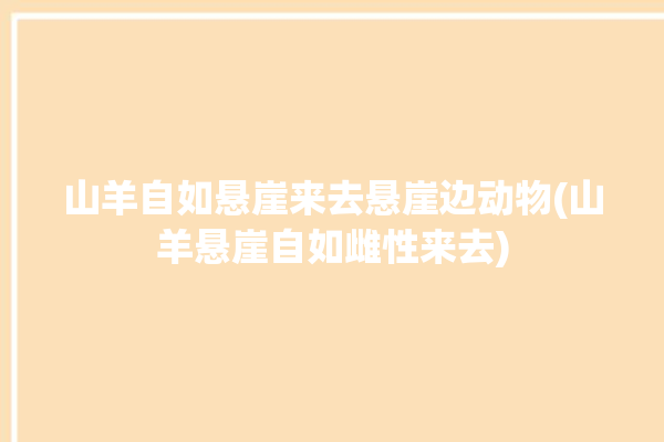 山羊自如悬崖来去悬崖边动物(山羊悬崖自如雌性来去)