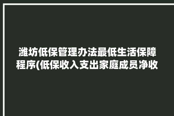 潍坊低保管理办法最低生活保障程序(低保收入支出家庭成员净收入)