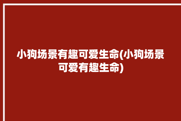 小狗场景有趣可爱生命(小狗场景可爱有趣生命)